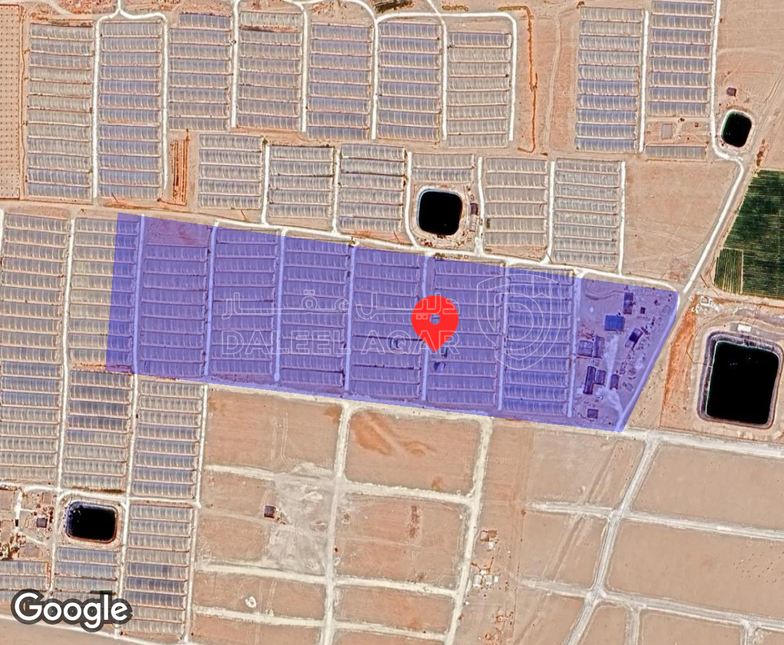 أرض في جنوب عمان - 25,000 دأ - صورة 1