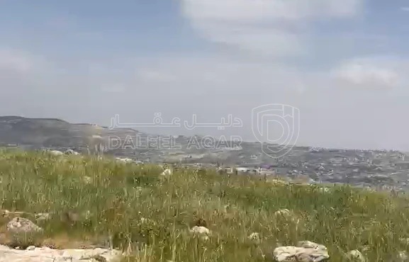 أرض في SKY VIEWS CAFE - 75,000 دأ - صورة 1
