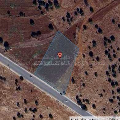 أرض في عجلون سمتا قرب طريق عجلون اربد - 280,000 دأ - صورة 1