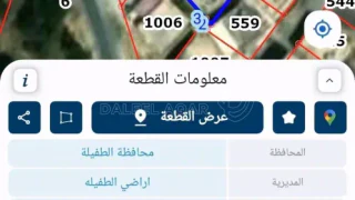 فيلا/منزل - الطفيلة _البرنيس - 40000 دأ
