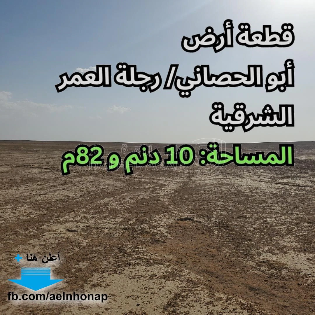 أرض في أبو الحصاني - رجلة العمر الشرقية - 14,000 دأ - صورة 1