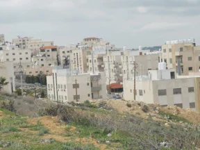أرض في ارض للبيع في ابو نصير  حوض المقرت  - 150,000 دأ - صورة NaN