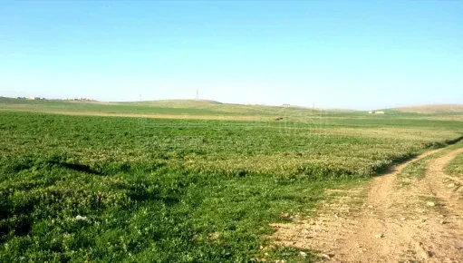 أرض في شمال شرق مطار الملكة علياء الدولي - 30,000 دأ - صورة 1