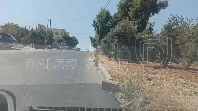 أرض - أرض للبيع شفا بدران  - 950000 دأ