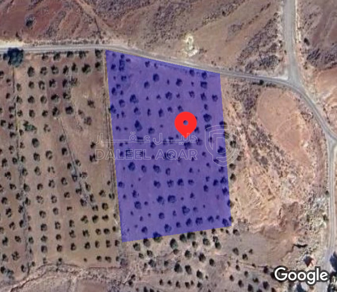 أرض في أرض في مدينة ماحص - 377,000 دأ - صورة 1