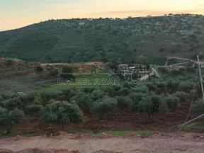 أرض في أرض في مدينة ماحص - 377,000 دأ - صورة NaN