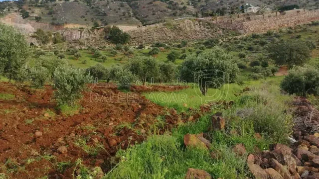 أرض - أرض في مدينة ماحص - 377000 دأ