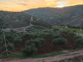 أرض في أرض في مدينة ماحص - 377,000 دأ - صورة NaN