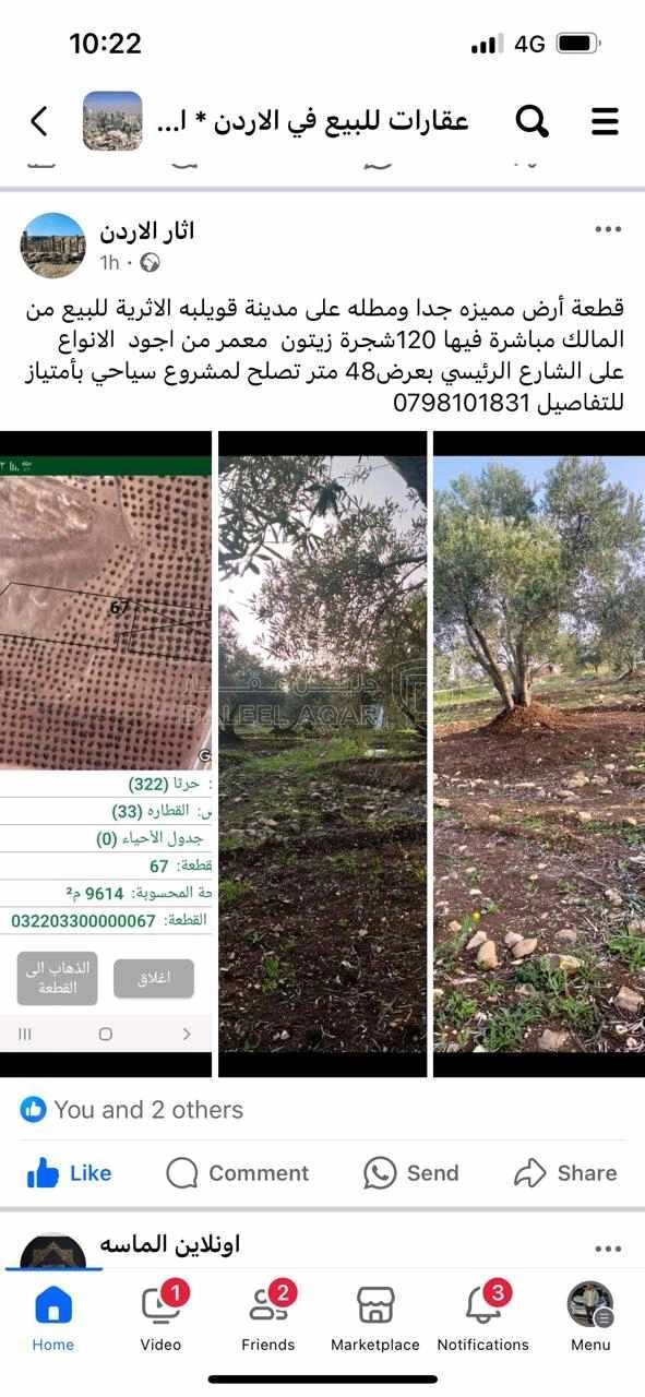 أرض في مقابل المعصره الذهبيه  - 170,000 دأ - صورة 1