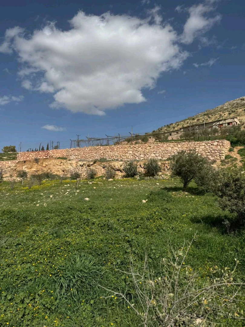 أرض في صروت - 120,000 دأ - صورة 1