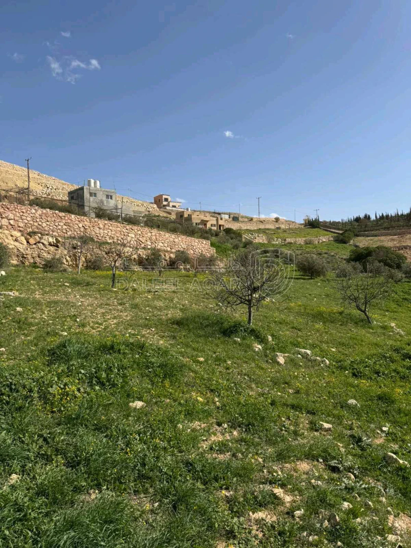 أرض في صروت - 120,000 دأ - صورة 1