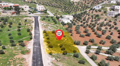 أرض في أرض مميزة في أم رمانة – شارع الاردن - 55,000 دأ - صورة NaN