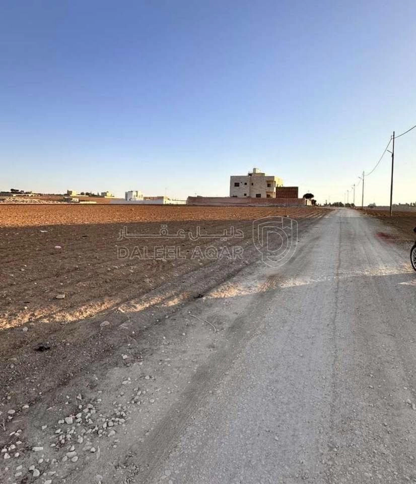 أرض في ارض للبيع في منطقه الجيزة - الحجرة - طريق المطار  - 36,000 دأ - صورة 1