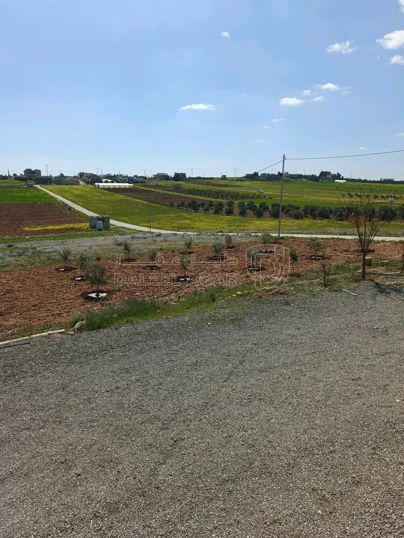 فيلا/منزل في بويضة العليمات - الحي الشمالي - 100,000 دأ - صورة 1