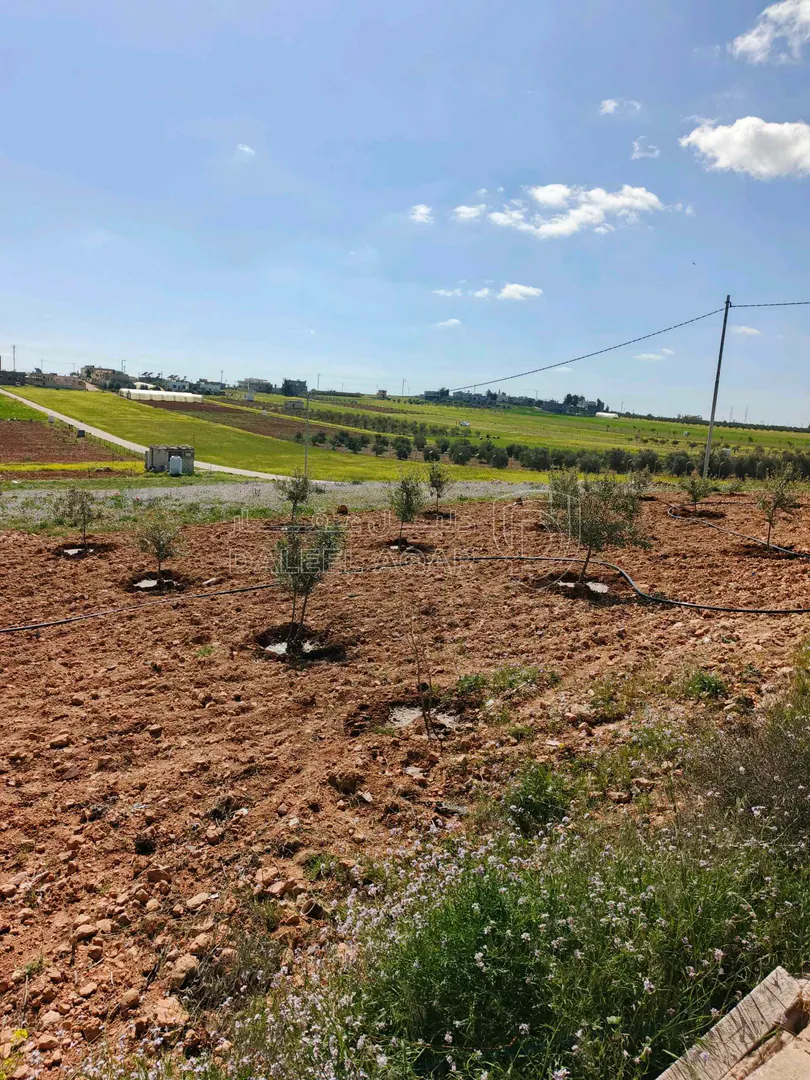 فيلا/منزل في بويضة العليمات - الحي الشمالي - 100,000 دأ - صورة 1