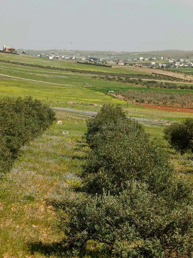 فيلا/منزل في بويضة العليمات - الحي الشمالي - 100,000 دأ - صورة 1