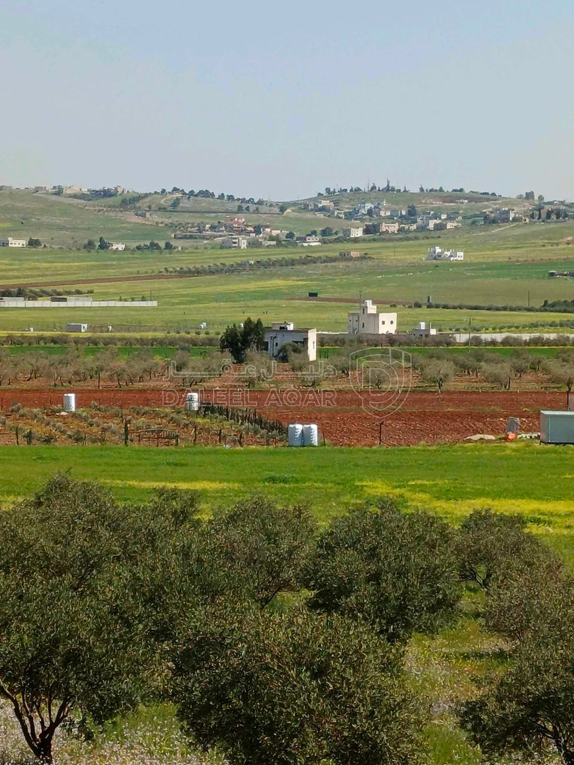 فيلا/منزل في بويضة العليمات - الحي الشمالي - 100,000 دأ - صورة 1