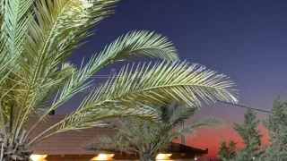 فيلا/منزل - ام الوليد الجيزه - 620000 دأ