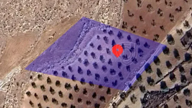 أرض في الزرقاء،بيرين - 75,000 دأ - صورة 1