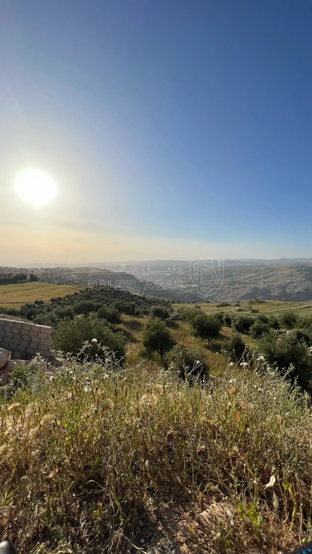أرض في ناعور قرية زبود وسيل حسبان حوض البواطي 4 دونمات - 150,000 دأ - صورة 4
