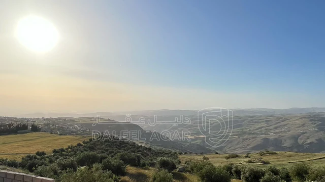أرض في ناعور قرية زبود وسيل حسبان حوض البواطي 4 دونمات - 150,000 دأ - صورة NaN