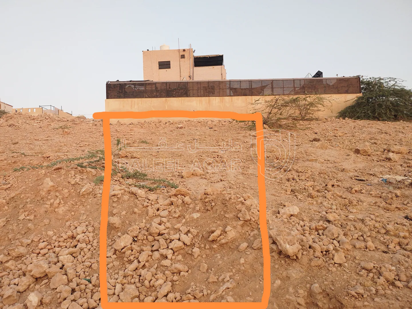 أرض في ارض للبيع في منطقه الروضه الشونه الجنوبيه - 28,000 دأ - صورة 1