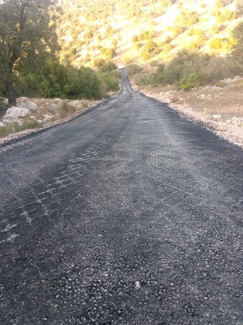 أرض في ابو الزيتون - 60,000 دأ - صورة 1