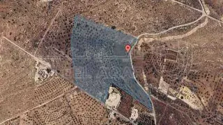 أرض في بيرين بالقرب من شفا بدران 8 دقايق  - 107,000 دأ - صورة 1
