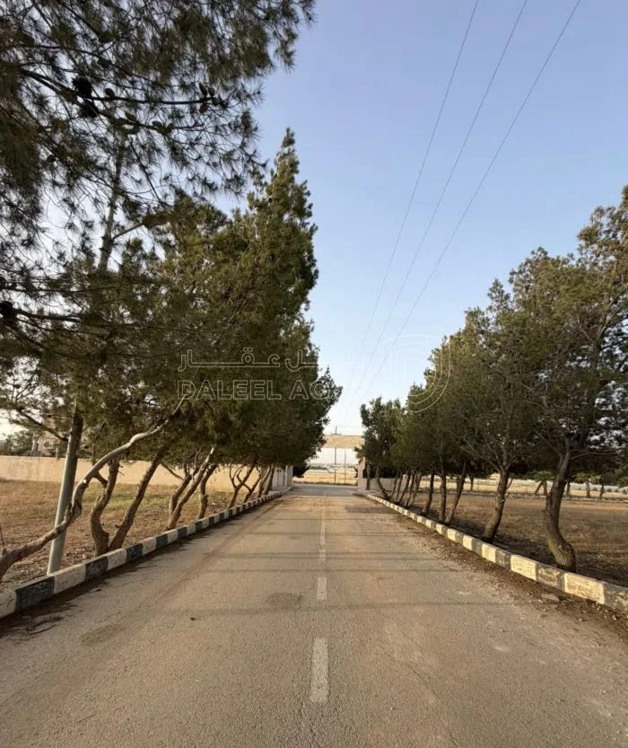 أرض في ارض للبيع الطنيب  قرب دوار جامعة الشرق الاوسط - 126,000 دأ - صورة 2