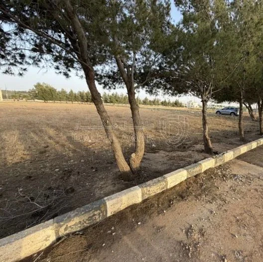 أرض في ارض للبيع الطنيب  قرب دوار جامعة الشرق الاوسط - 126,000 دأ - صورة 3