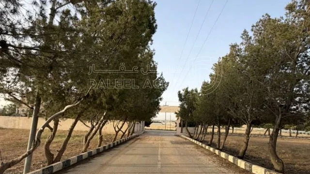 أرض في ارض للبيع الطنيب  قرب دوار جامعة الشرق الاوسط - 126,000 دأ - صورة NaN