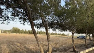 أرض في ارض للبيع الطنيب  قرب دوار جامعة الشرق الاوسط - 126,000 دأ - صورة NaN