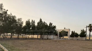 أرض في ارض للبيع الطنيب  قرب دوار جامعة الشرق الاوسط - 126,000 دأ - صورة NaN