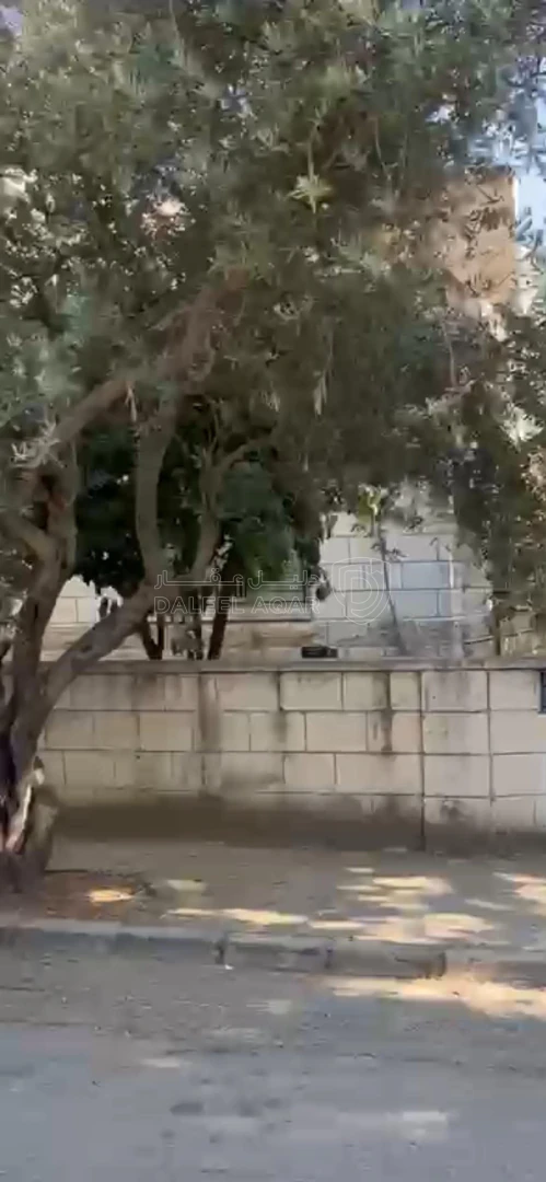 فيلا/منزل في صويلح  - 195,000 دأ - صورة 1