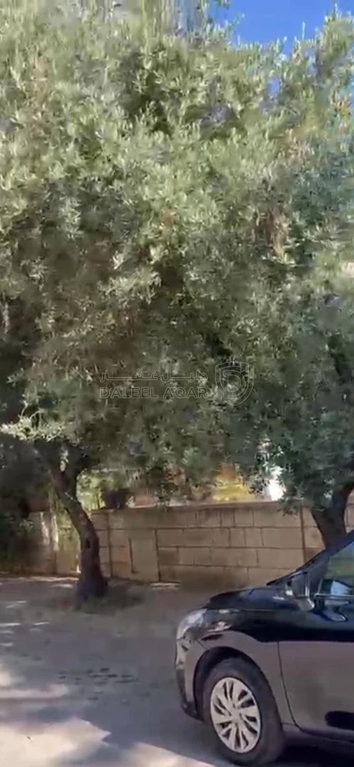 فيلا/منزل في صويلح  - 195,000 دأ - صورة 1
