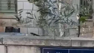فيلا/منزل - صويلح  - 30000 دأ