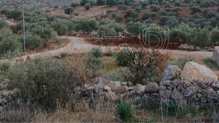 أرض - جرش زقريط ارض مميزة للبيع  - 33000 دأ
