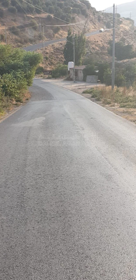 أرض في ع شارع الرئيسي - 397,500 دأ - صورة 1