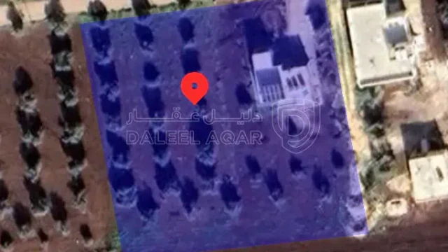 أرض في اربد _ الشجرة - 18,000 دأ - صورة 1