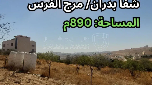 أرض - شفا بدران- مرج الفرس - قرب مسجد آسيا الشامي - 100000 دأ