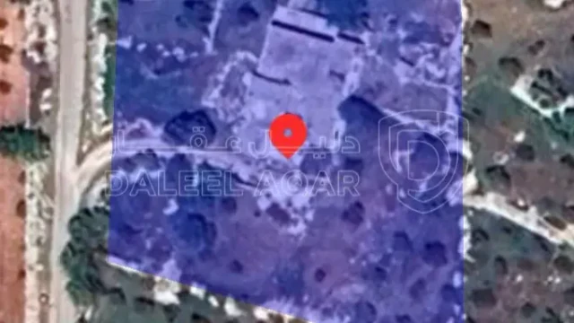 أرض في عجلون راسون منطقه السوس - 75,000 دأ - صورة 1