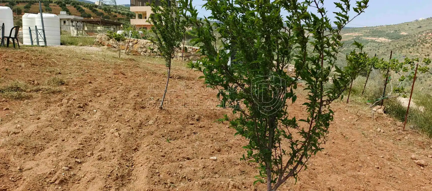 أرض في  سد الملك طلال  - 32,000 دأ - صورة 1
