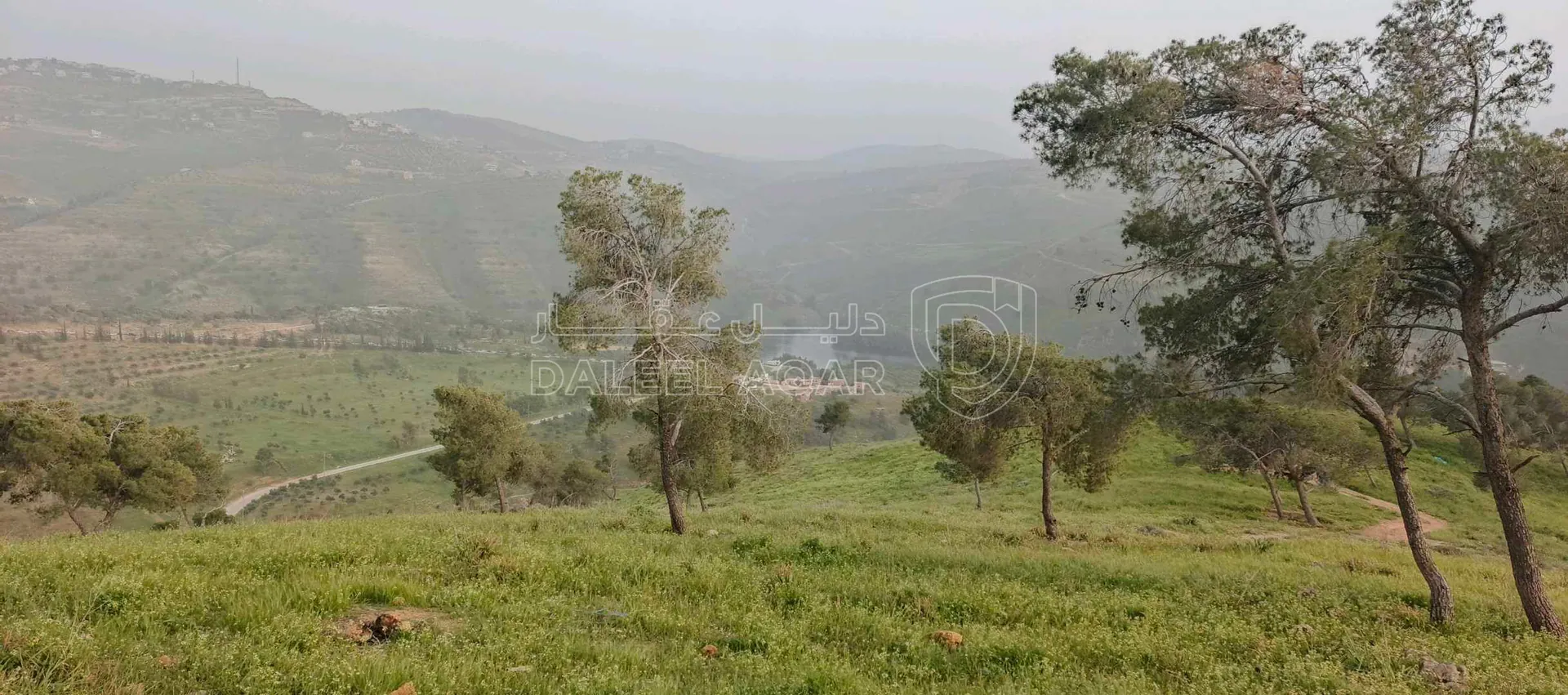 أرض في  سد الملك طلال  - 32,000 دأ - صورة 1