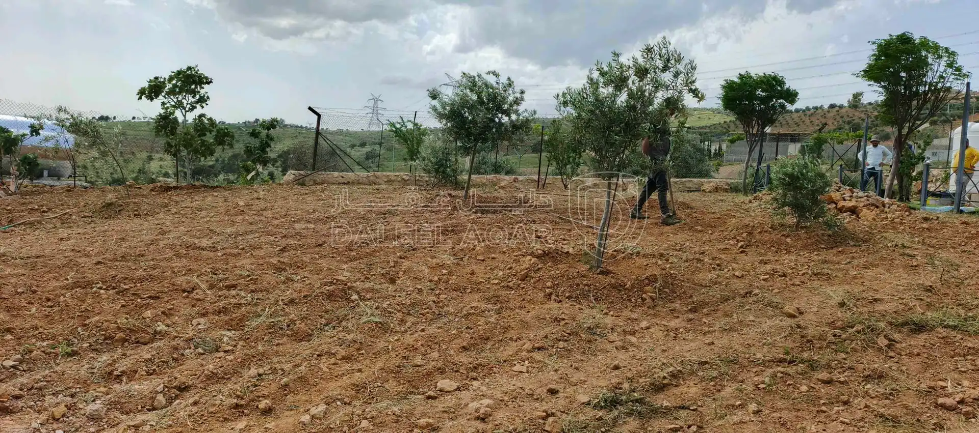 أرض في  سد الملك طلال  - 32,000 دأ - صورة 1