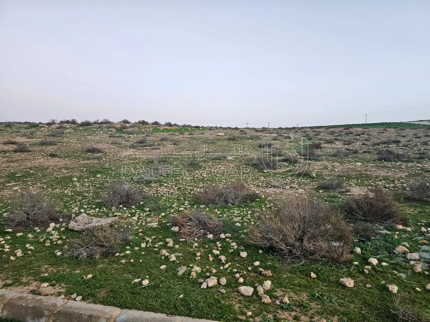 أرض في عرقوب النعام - 32,000 دأ - صورة 1