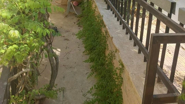 فيلا/منزل في بيت مستقل للبيع في القويسمه جبل الحديد بسعر مميز - 170,000 دأ - صورة NaN