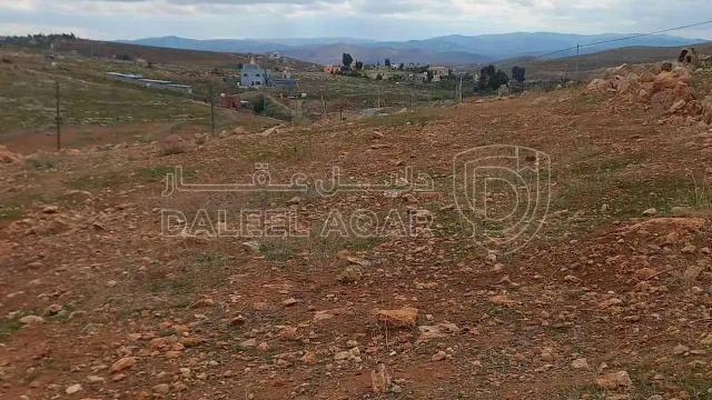 أرض في المفرق - 19,000 دأ - صورة 1