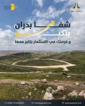 أرض - ارض للبيع في شفا بدران -زينات الربوع - 87500 دأ