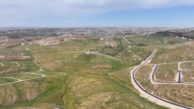 أرض في ارض للبيع في شفا بدران -زينات الربوع - 65,000 دأ - صورة NaN