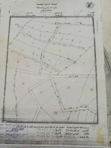 أرض في الزرقاء جريبا - 60,000 دأ - صورة NaN